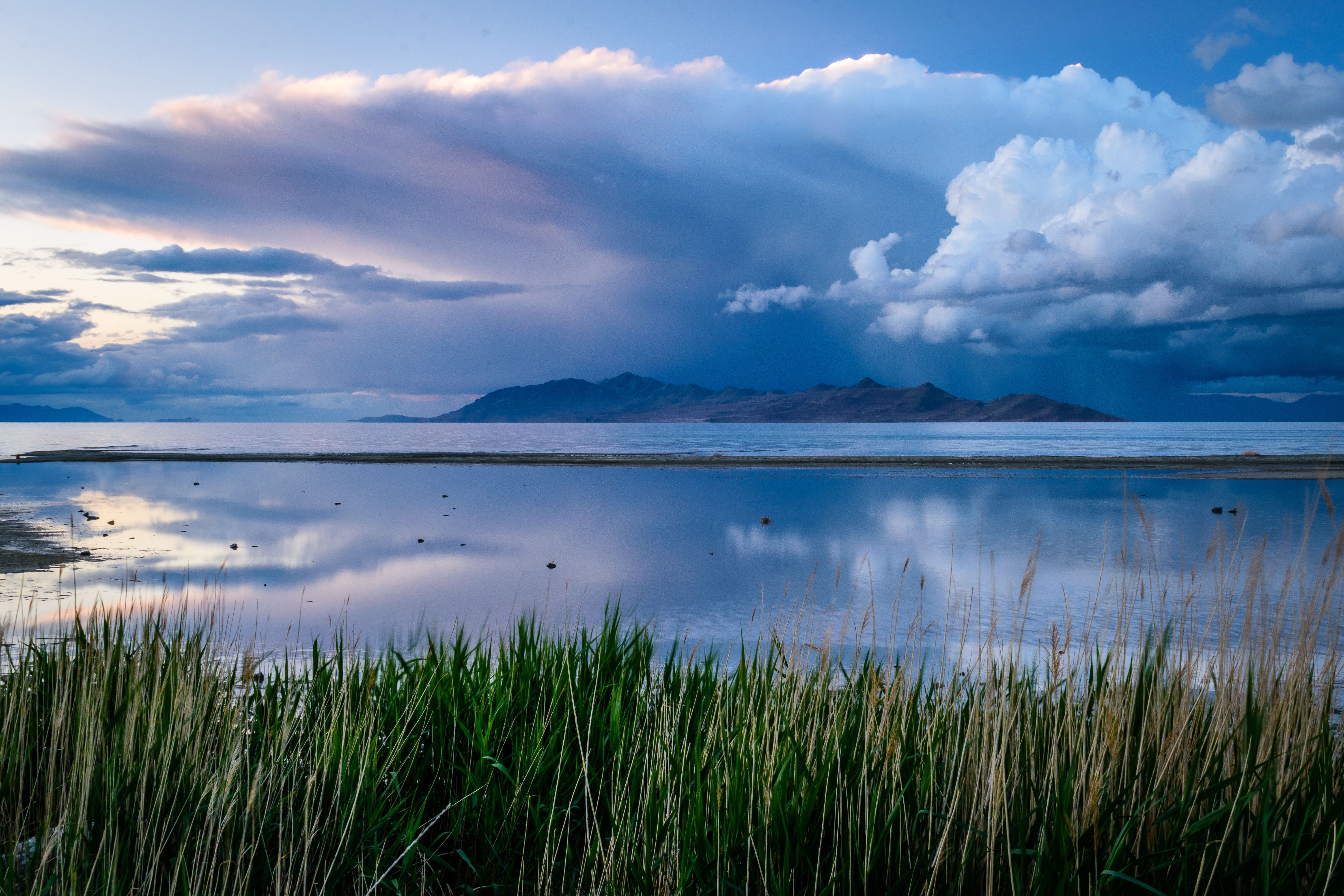 Green lakeshore reeds and calm water reflecting a dusk, storm-lit sky over the Great Salt Lake
